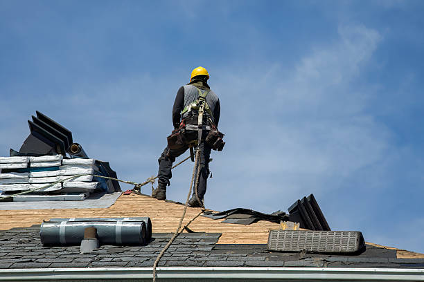 Professional Gutter Installation technician working in New Ulm, TX